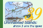 Uninhabited Islands: สำรวจ 3 เกาะ ร้าง ชุมพร