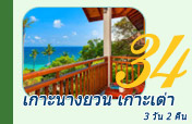 เกาะนางยวน เกาะเต่า 3 วัน 2 คืน