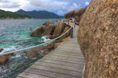 เกาะนางยวน เกาะเต่า 3 วัน 2 คืน