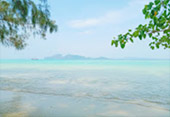 เช่าเหมาลำ เรือหางยาว เส้นทาง 4เกาะ