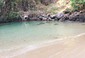เช่าเหมาลำ เรือหางยาว เส้นทาง 4เกาะ