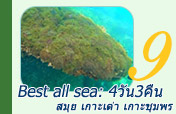 Best all sea: สมุย เกาะเต่า เกาะชุมพร