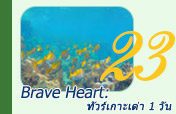 Brave Heart: ทัวร์เกาะเต่า 1 วัน ไปเช้าเย็นกลับ