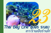 Thai Bay Line เกาะร้านเป็ดร้านไก่ ชุมพร