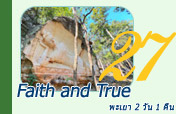 พะเยา: 2 วัน 1 คืน Faith and True