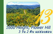 1600 Height, Flower Hill 3วัน2คืน