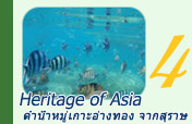 Heritage of Asia: ทะเลสุราษฯ