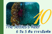 The Jetties's Reef 6วัน5คืน
