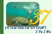 เกาะนางยวน เกาะเต่า 3 วัน 2 คืน