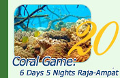 Coral Game 6Days 5Nights Raja-Ampat