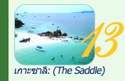 เกาะซาลิ Sali Island Day Trip
