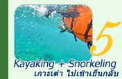 Kayaking + Snorkeling : เกาะเต่า