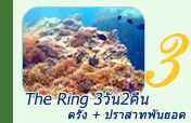 The Ring: ตรัง