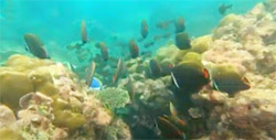 เขาหน้ายักษ์: Snorkeling & Beach Day Tour of Jc.Tour