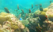 เขาหน้ายักษ์: Snorkeling & Beach Day Tour of Jc.Tour