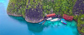 Coral Game 6Days 5Nights Raja-Ampat