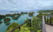 Coral Game 6Days 5Nights Raja-Ampat