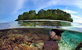 Coral Game 6Days 5Nights Raja-Ampat