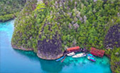 Coral Game 6Days 5Nights Raja-Ampat