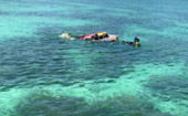 เกาะซาลิ Sali Island Day Trip
