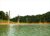 Feel Best: สุดเขตเขื่อนริมป่า ต้นน้ำ