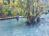 Nature Stalker: สุรินทร์ สิมิลัน เขาสก