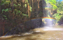 King of Waterfall : น้ำตกน้ำ ทีลอซู