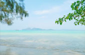 4320 Minutes ตรัง - ถ้ำ ป่าชายเลน ภูเขา เกาะ ริมหาด ใต้ทะเล และผู้คนชาวเกาะ